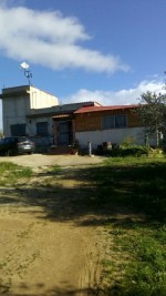 Annuncio vendita Palermo terreno coltivato a uliveti con casa