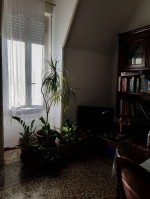 Annuncio vendita A Genova appartamento luminoso