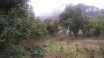 Annuncio affitto Lotti di terreno in Sant'Egidio del Monte Albino