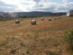 Annuncio vendita Terreno edificabile sito in Mirto-Crosia