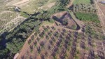 Annuncio vendita Terreni in agro di Montalbano Jonico