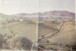 Annuncio vendita Castel di Iudica terreno agricolo con fattoria
