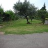 foto 3 - Terreno pianeggiante con ulivi a Castrovillari a Cosenza in Vendita