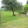 foto 2 - Terreno pianeggiante con ulivi a Castrovillari a Cosenza in Vendita