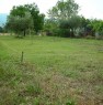 foto 1 - Terreno pianeggiante con ulivi a Castrovillari a Cosenza in Vendita