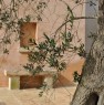 foto 5 - Villa di campagna a Spongano Le More a Lecce in Vendita