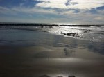 Annuncio affitto Bilocale a mare sulla spiaggia Nettuno