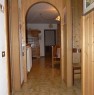 foto 0 - Appartamento a Castello-Molina di Fiemme a Trento in Affitto
