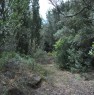 foto 6 - Terreno agricolo vicino S.Antioco Carbonia a Carbonia-Iglesias in Vendita