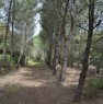 foto 5 - Terreno agricolo vicino S.Antioco Carbonia a Carbonia-Iglesias in Vendita