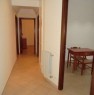 foto 5 - Appartamento Frascati a Roma in Vendita