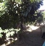 foto 1 - Giardini Naxos casa singola a Messina in Vendita
