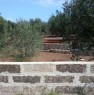 foto 5 - Terreno agricolo a Tiggiano a Lecce in Vendita