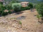 Annuncio vendita Terreno con progetto ad Albenga