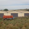 foto 7 - Terreno con capannoni adatto per fotovoltaico a Caltanissetta in Vendita