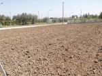 Annuncio vendita Lotti di terreno pianeggiante in zona Scerni