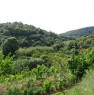 foto 3 - Terreno fertile di 5 ettari pianeggiante a Burcei a Cagliari in Vendita