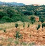 foto 2 - Terreno fertile di 5 ettari pianeggiante a Burcei a Cagliari in Vendita