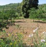 foto 1 - Terreno fertile di 5 ettari pianeggiante a Burcei a Cagliari in Vendita
