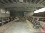 Annuncio vendita Azienda agricola con stalle a Novi Ligure