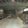 foto 0 - Azienda agricola con stalle a Novi Ligure a Alessandria in Vendita
