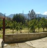 foto 3 - Terreno agricolo prospiciente in Via Villa Maio a Palermo in Vendita