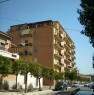 foto 9 - Appartamento signorile a Torremaggiore a Foggia in Affitto