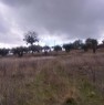 foto 1 - Terreno agricolo in zona Mascione a Campobasso in Vendita