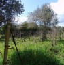 foto 3 - Splendido terreno pianeggiante ad Alghero a Sassari in Vendita