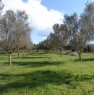 foto 0 - Splendido terreno pianeggiante ad Alghero a Sassari in Vendita