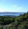 foto 3 - Terreno agricolo vista mare in Costa Smeralda a Olbia-Tempio in Vendita