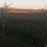foto 9 - Terreno agricolo a Supezzumannu alto a Cagliari in Vendita