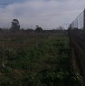 foto 4 - Terreno agricolo a Supezzumannu alto a Cagliari in Vendita