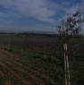 foto 3 - Terreno agricolo a Supezzumannu alto a Cagliari in Vendita