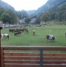 foto 3 - Appartamento a Gressoney Saint Jean a Valle d'Aosta in Affitto