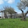 foto 3 - Terreno panoramico con ulivi e rustico in cemento a Roma in Vendita