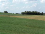Annuncio vendita Terreno agricolo seminativo zona Cella di Noceto