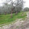 foto 3 - Terreno agricolo a Vetralla a Viterbo in Vendita