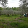 foto 2 - Terreno agricolo a Vetralla a Viterbo in Vendita