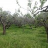 foto 1 - Terreno agricolo a Vetralla a Viterbo in Vendita