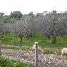 foto 0 - Terreno agricolo a Vetralla a Viterbo in Vendita