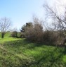 foto 3 - Rudere con terreno a Villagrande di Mombaroccio a Pesaro e Urbino in Vendita