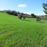 foto 1 - Rudere con terreno a Villagrande di Mombaroccio a Pesaro e Urbino in Vendita