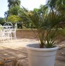 foto 7 - Location con giardino a Letojanni a Messina in Affitto