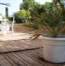 foto 3 - Location con giardino a Letojanni a Messina in Affitto