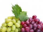 Annuncio vendita Azienda vitivinicola nell'Astigiano