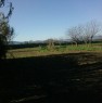 foto 1 - Terreno agricolo a Catena a Prato in Vendita