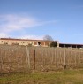 foto 3 - Azienda agricola nel Monferrato a Alessandria in Vendita