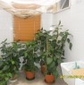 foto 4 - Appartamento facente parte di un minicondominio a Lecce in Vendita