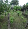 foto 3 - Rustico con terreno coltivato Piedimonte Etneo a Catania in Vendita